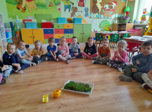 Program Edukacyjny- Leśna gąbka